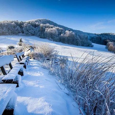Hotel Ruebezahlbaude Grossschoenau